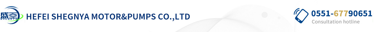 HEFEI SHEGNYA MOTOR&PUMPS CO.,LTD  
